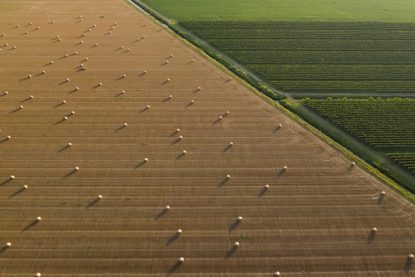 aerial view of cultivated land at