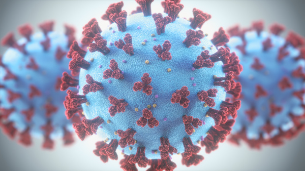 coronavirus respiratory infections viruses mutation