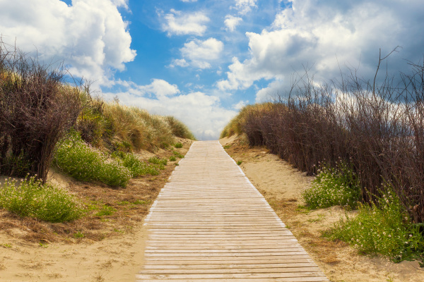 wooden path to the beach between