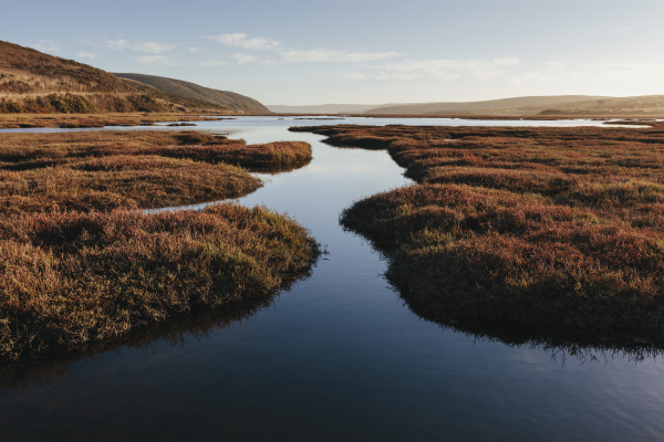 intertidal estuary with water channels at
