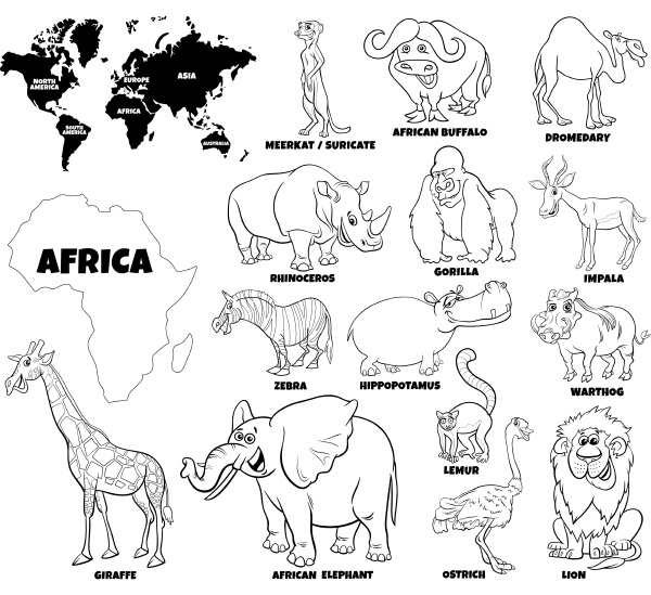 educational illustration of african animals color