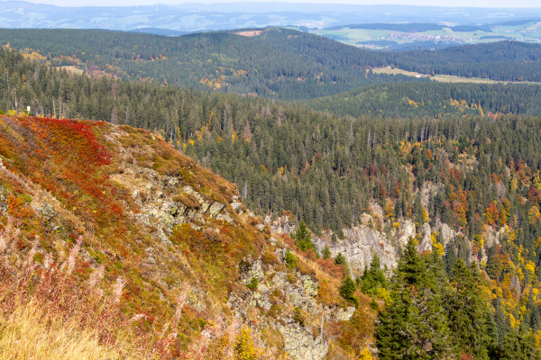 scenic view at landscape from feldberg