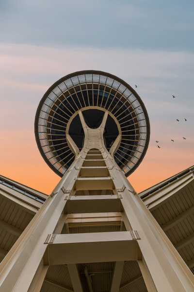 space needle at dawn