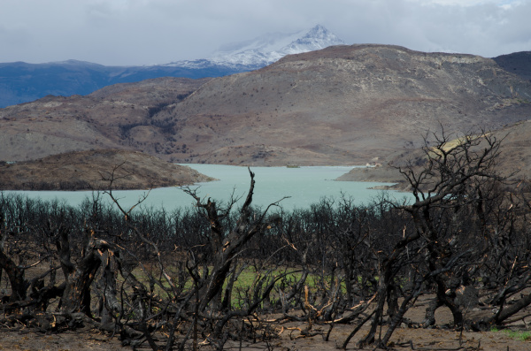 pehoe lake and burned area in