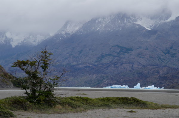 icebergs on grey lake and mountains