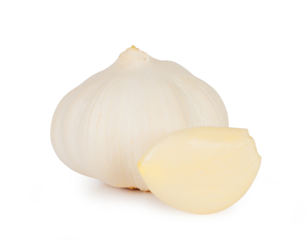 the head of garlic cloves with