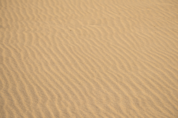 sand of a beach with line