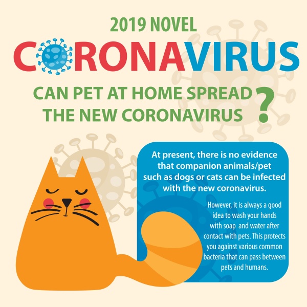 coronavirus, , covid, 19, and, pet - 28277285