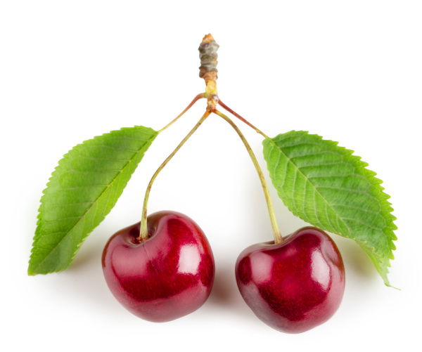 bright cherry fruit with green leaves