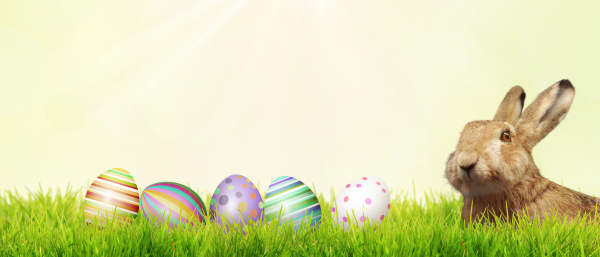 beautiful, easter, background, with, colorful, easter - 28278310