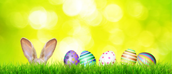 beautiful, easter, background, with, colorful, easter - 28278486
