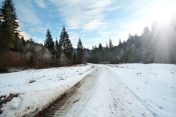 carriageway, road, in, the, winter, forest - 28278655