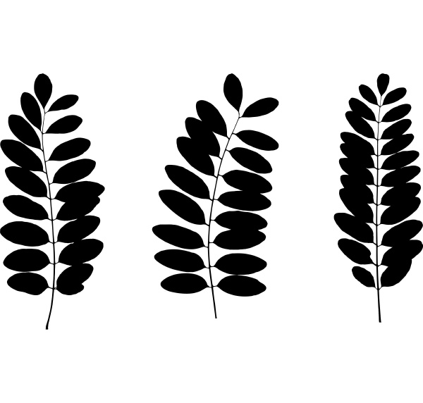 set, of, black, tree, leaf, silhouettes - 28278457