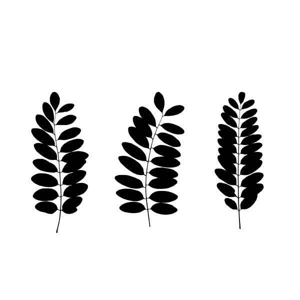 set, of, black, tree, leaf, silhouettes - 28278459
