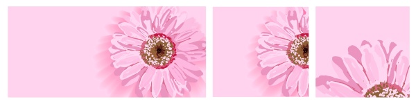 set of backgrounds with spring flowers