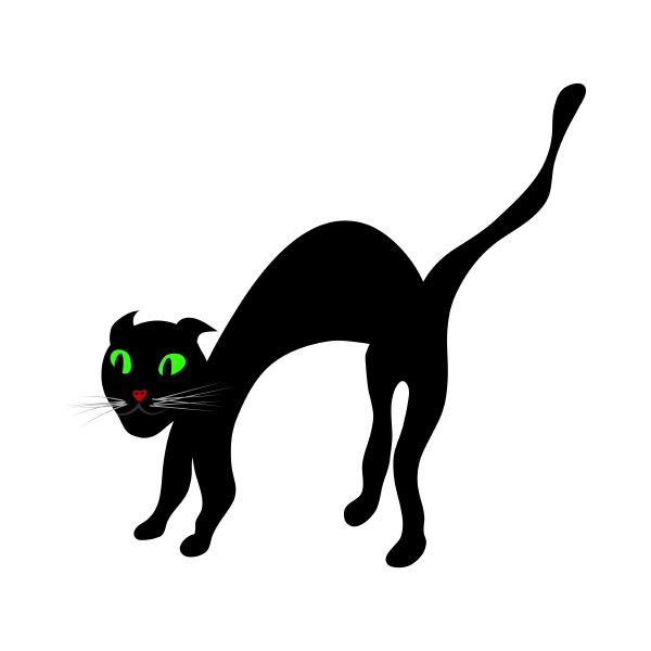halloween, black, cat - 28279298