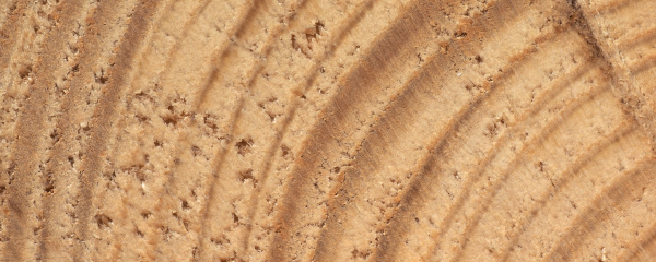 brown, wood, texture, background - 28280443