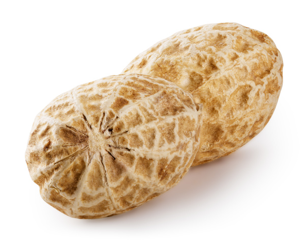 a pod of peanut