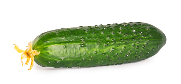 green fresh juicy cucumber
