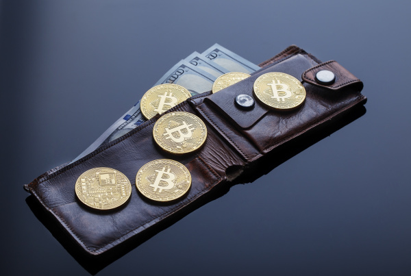 wallet with gold bitcoins and one