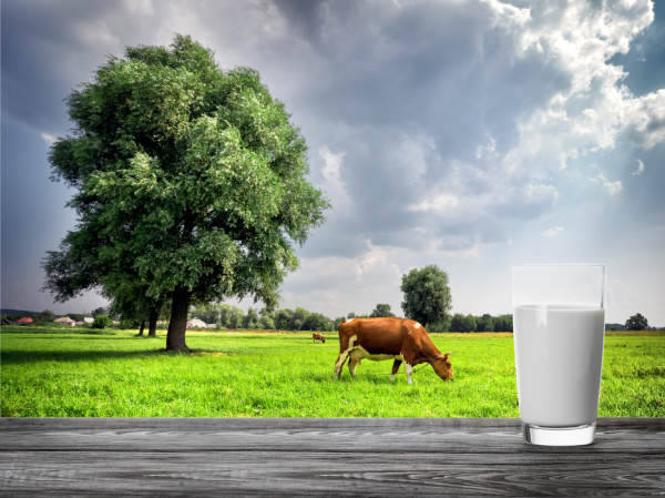 glass of milk against background of