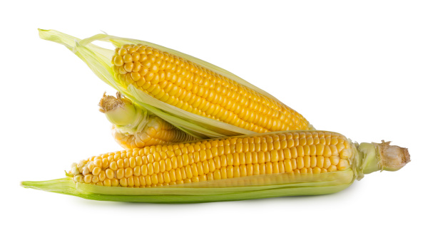three cobs of corn with green