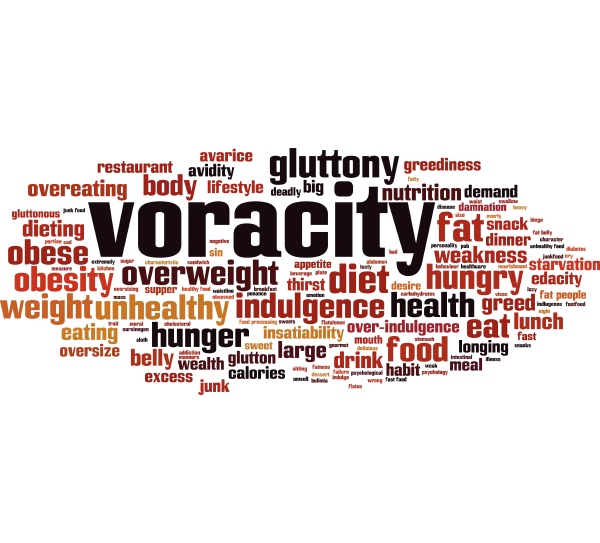 voracity word cloud
