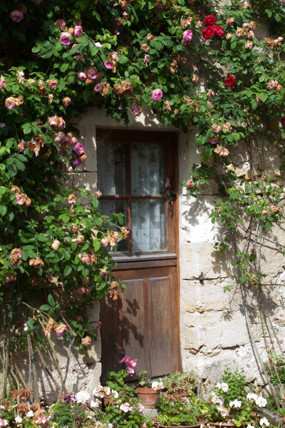 cottage with roses around door