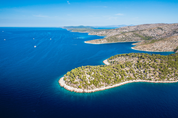 aerial view of the shore of
