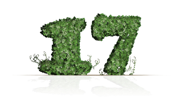 number 17 created of green ivy