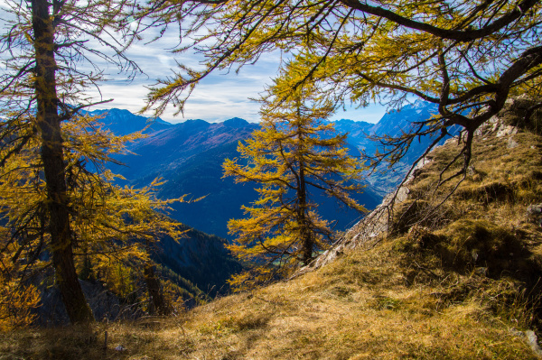 autumn landscape in the swiss alps