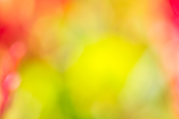 abstract bokeh and blurred colorful nature