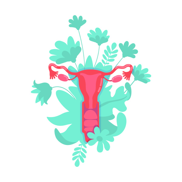 female reproductive system flat concept vector