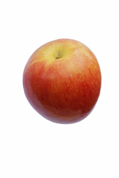 close up image of jazz apple