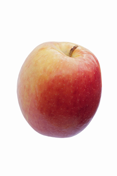 close up image of jazz apple