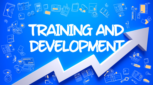 training and development drawn on blue