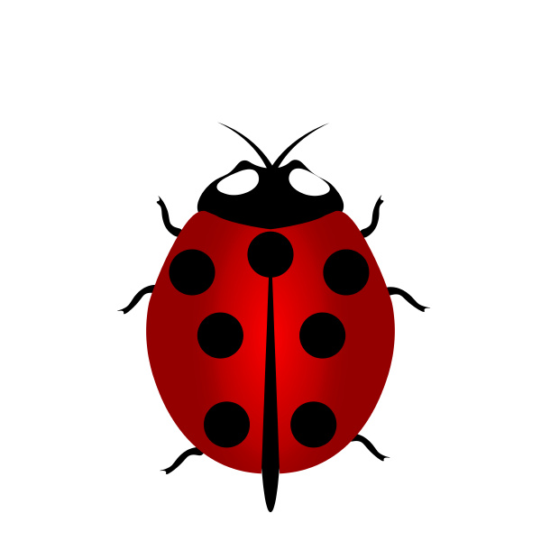 ladybird icon red ladybug