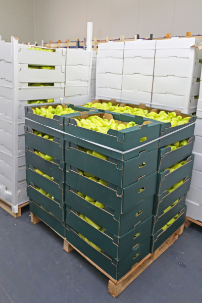 green peppers pallet
