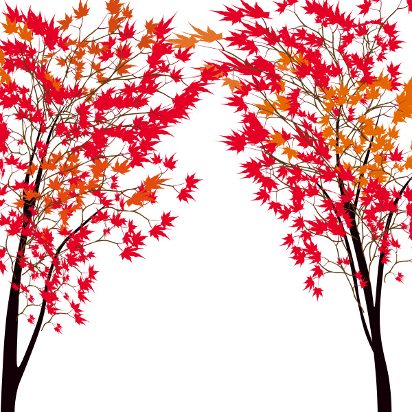 card with autumn maple tree