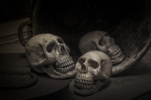 photography with the skull of