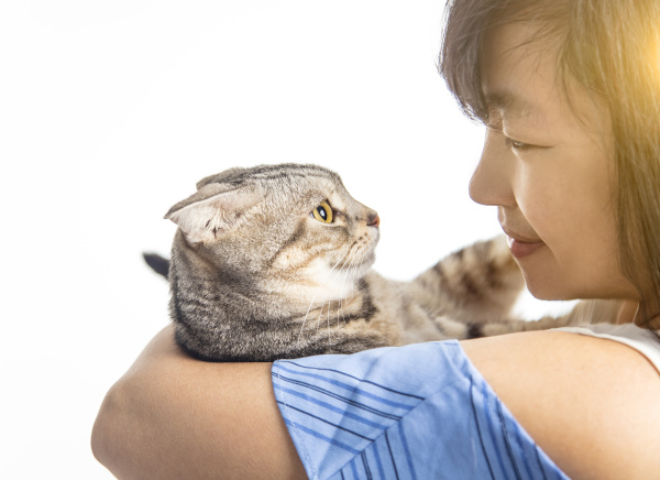 woman holding with cute cat resting