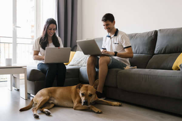 smiling, couple, using, laptops, near, dog - 28744501