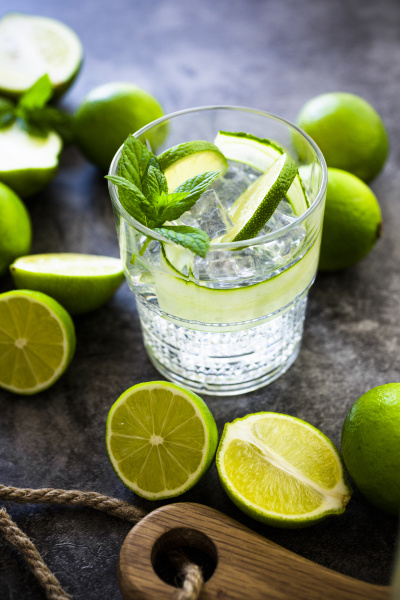 gin tonic with lemon mint