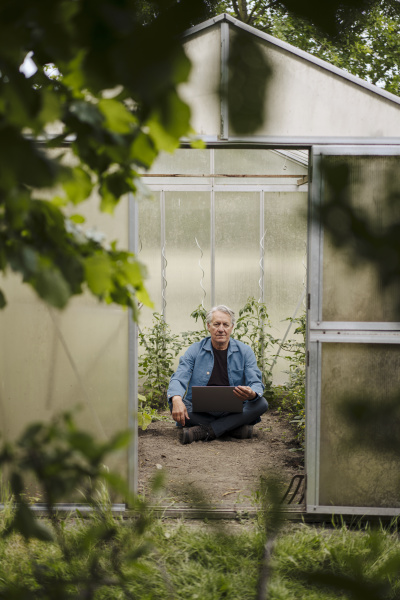 senior man sitting in a greenhouse