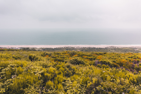 coastal landscape in nazare portugal