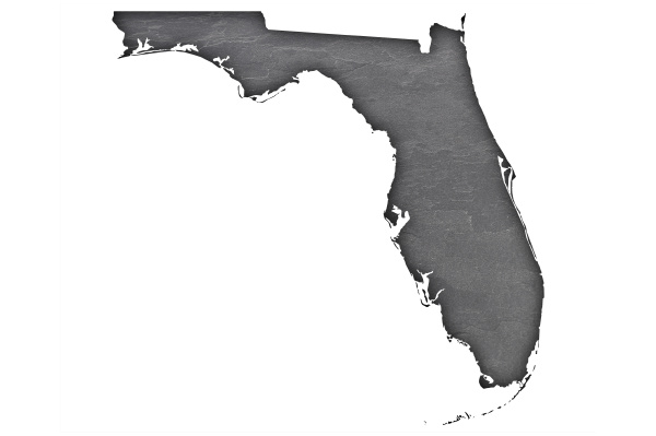 map of florida on dark slate