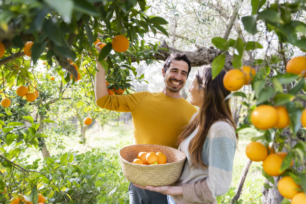 happy couple picking oranges while standing