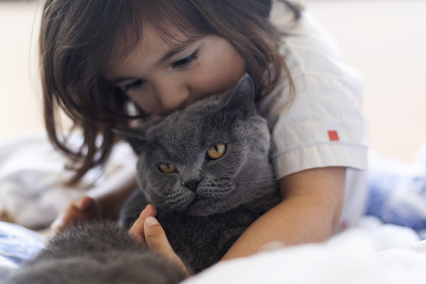 little girl cuddling grey cat on