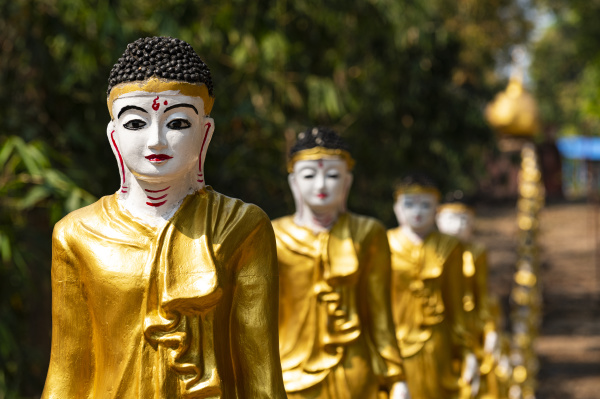 long line of golden buddhas lining