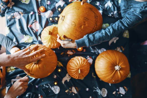overhead view of pumpkins on a